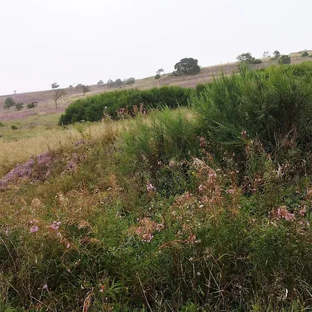 5 Star In Semesterbostad Farsø