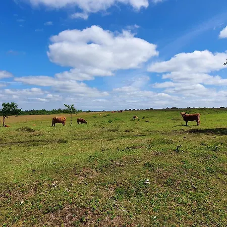 Semesterbostad 5 Star In *