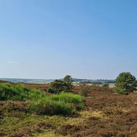 5 Star In Semesterbostad