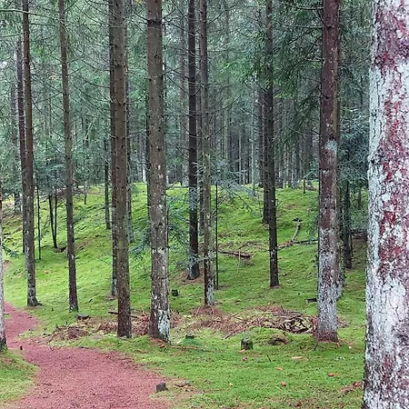 5 Star In Semesterbostad