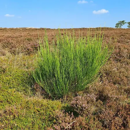 5 Star In Semesterbostad