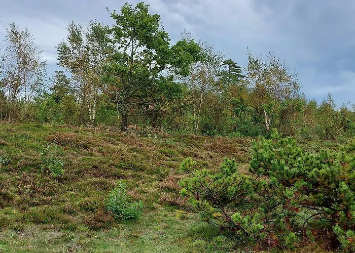 5 Star In Farsø